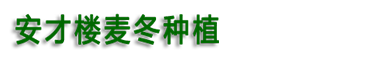 曹县安才楼麦冬种植专业合作社-